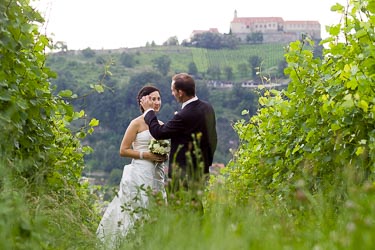 Hochzeit Weingut Wippl